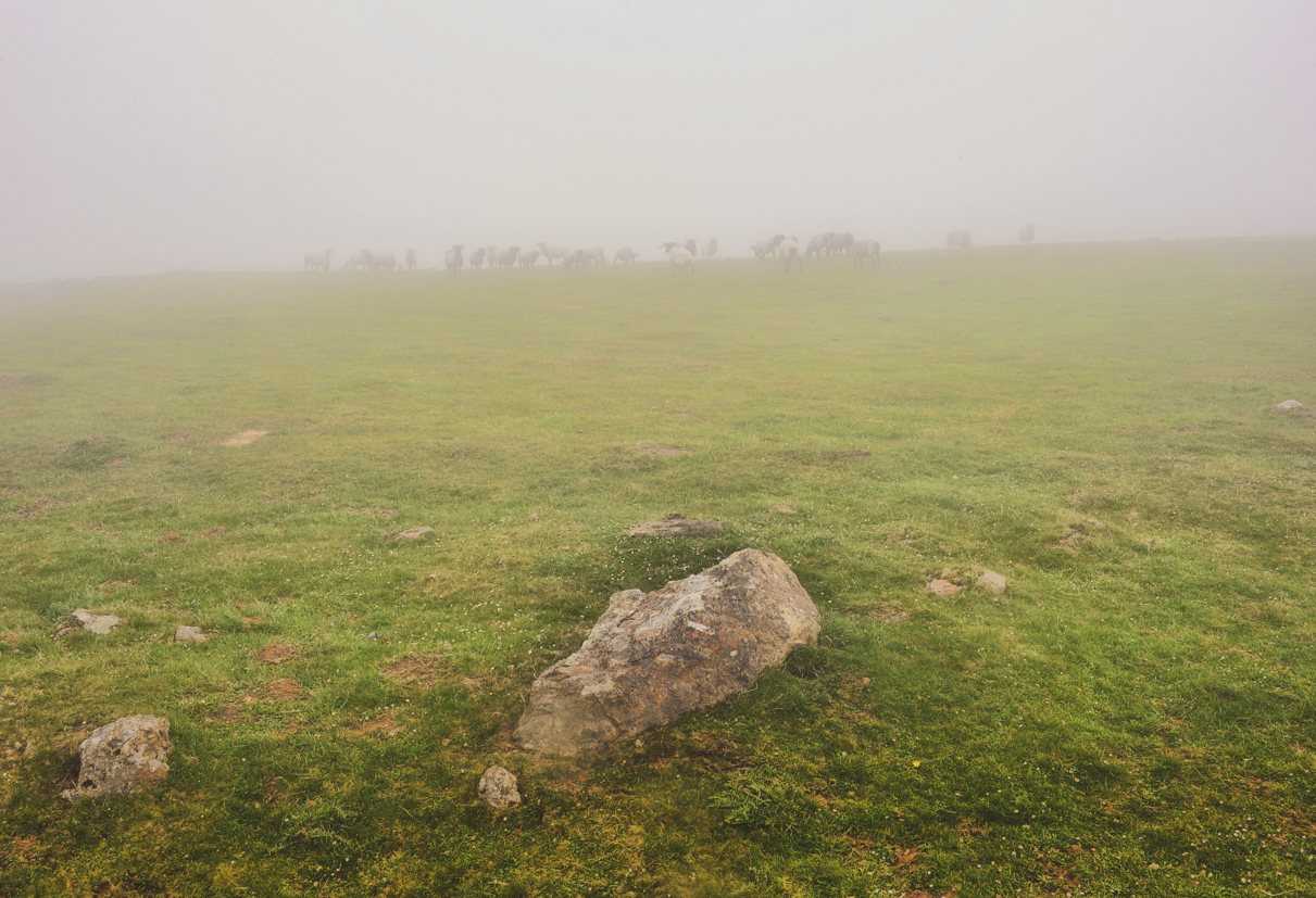 Image 45